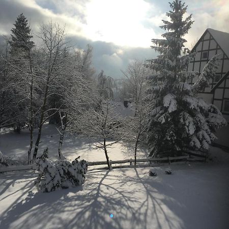 Appartement An Der Erlebniskappe Mit Fahrradkeller Winterberg Luaran gambar