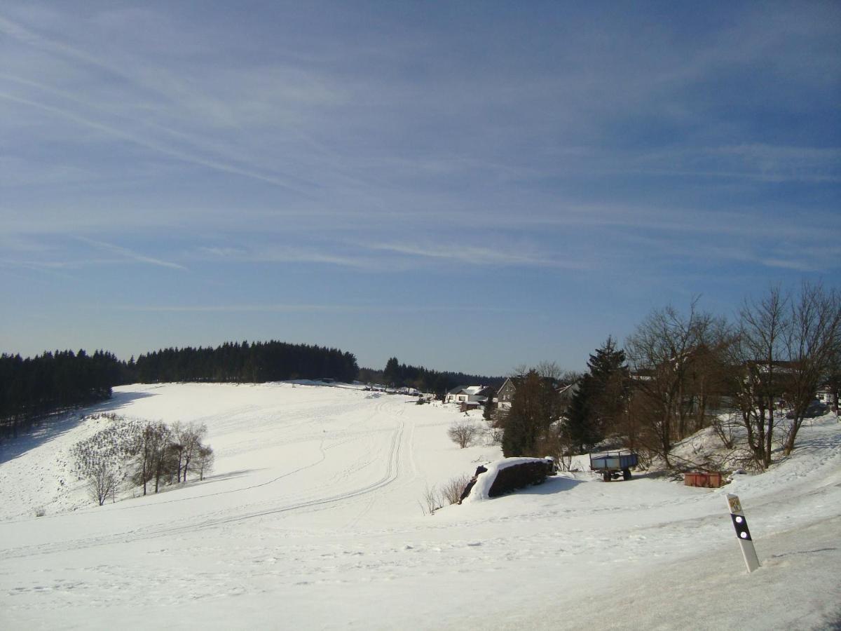 Appartement An Der Erlebniskappe Mit Fahrradkeller Winterberg Luaran gambar