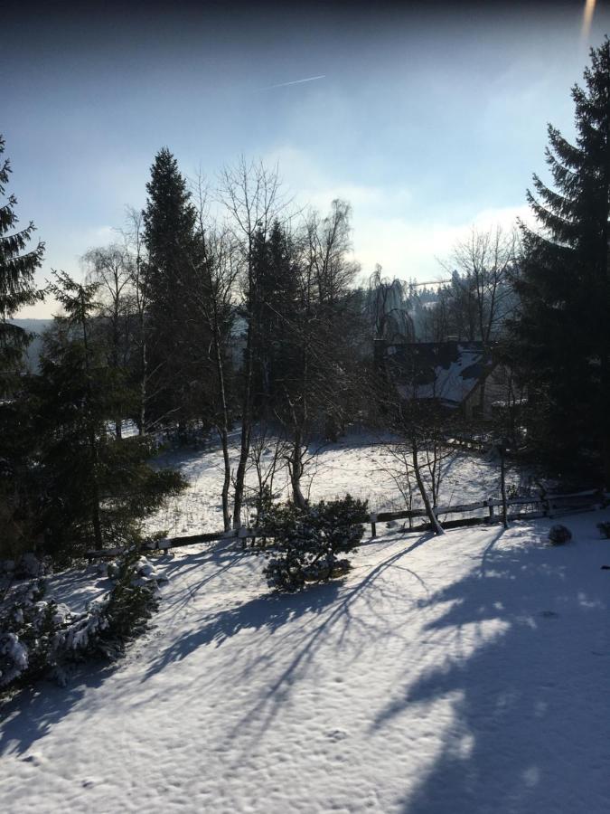Appartement An Der Erlebniskappe Mit Fahrradkeller Winterberg Luaran gambar