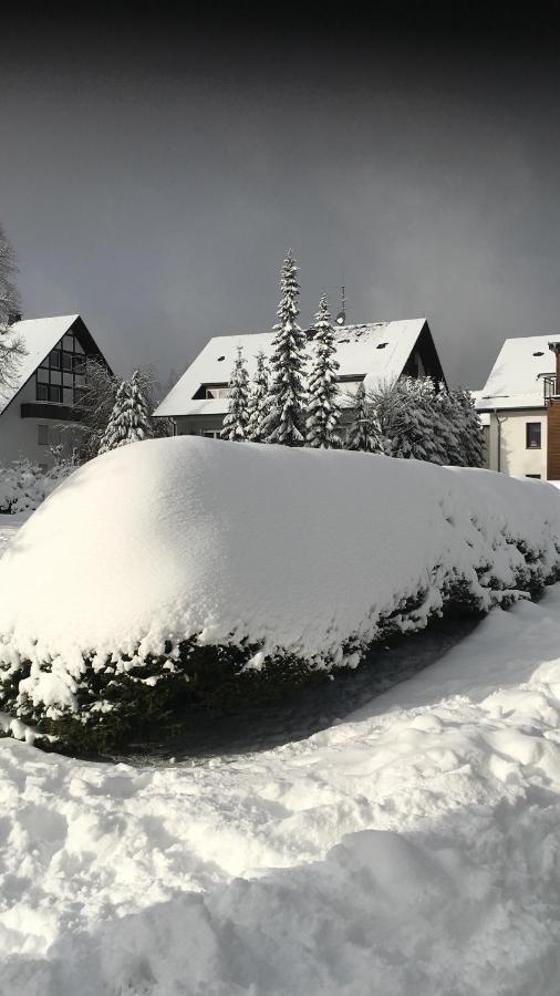 Appartement An Der Erlebniskappe Mit Fahrradkeller Winterberg Luaran gambar