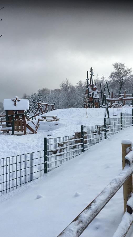 Appartement An Der Erlebniskappe Mit Fahrradkeller Winterberg Luaran gambar
