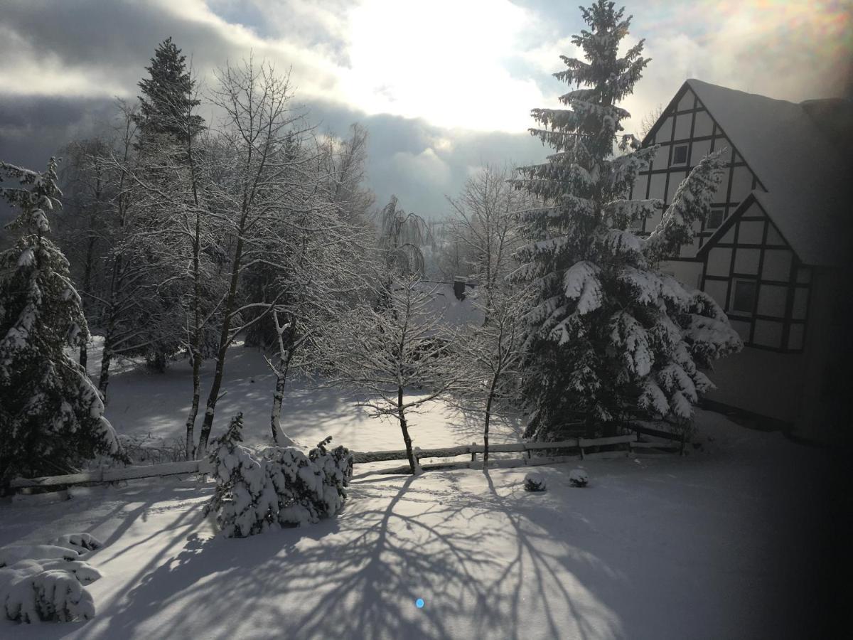Appartement An Der Erlebniskappe Mit Fahrradkeller Winterberg Luaran gambar