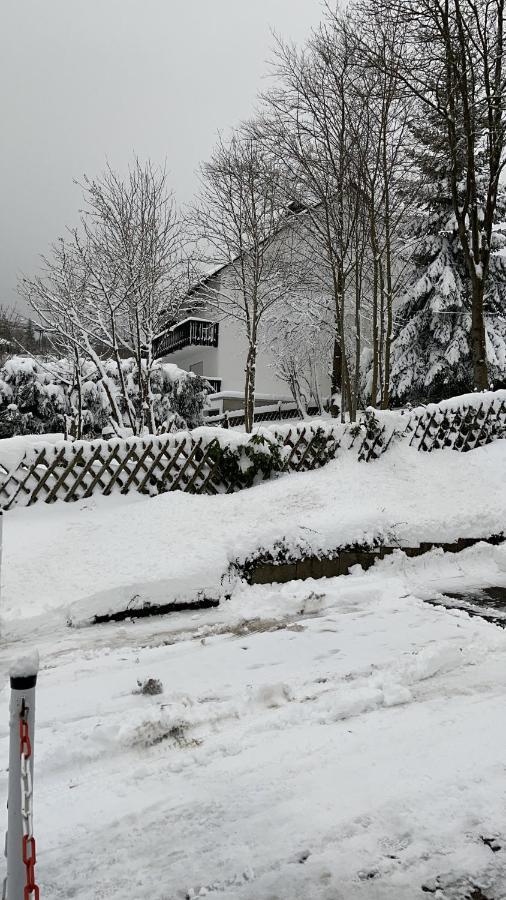 Appartement An Der Erlebniskappe Mit Fahrradkeller Winterberg Luaran gambar