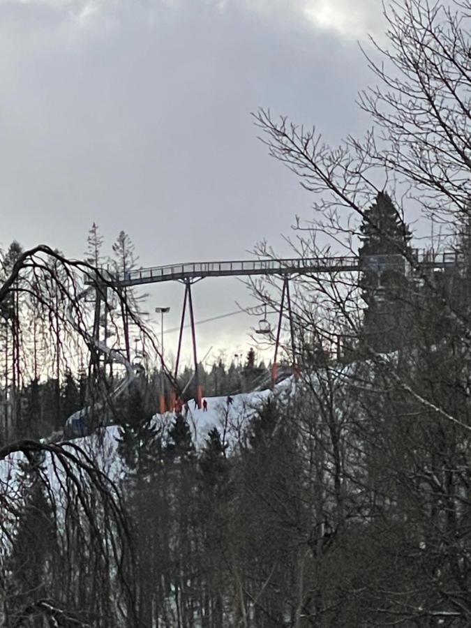 Appartement An Der Erlebniskappe Mit Fahrradkeller Winterberg Luaran gambar